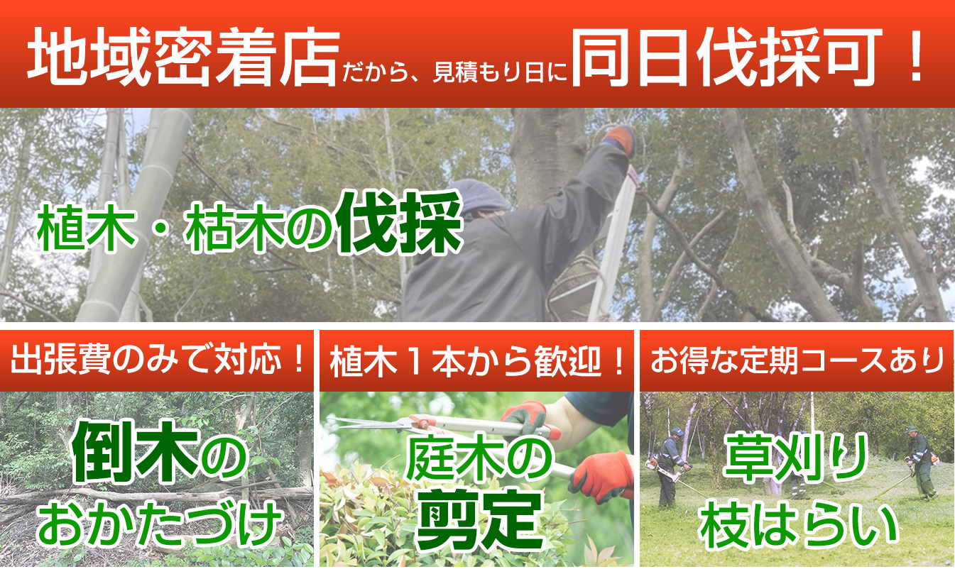地域密着店だから同日伐採可能