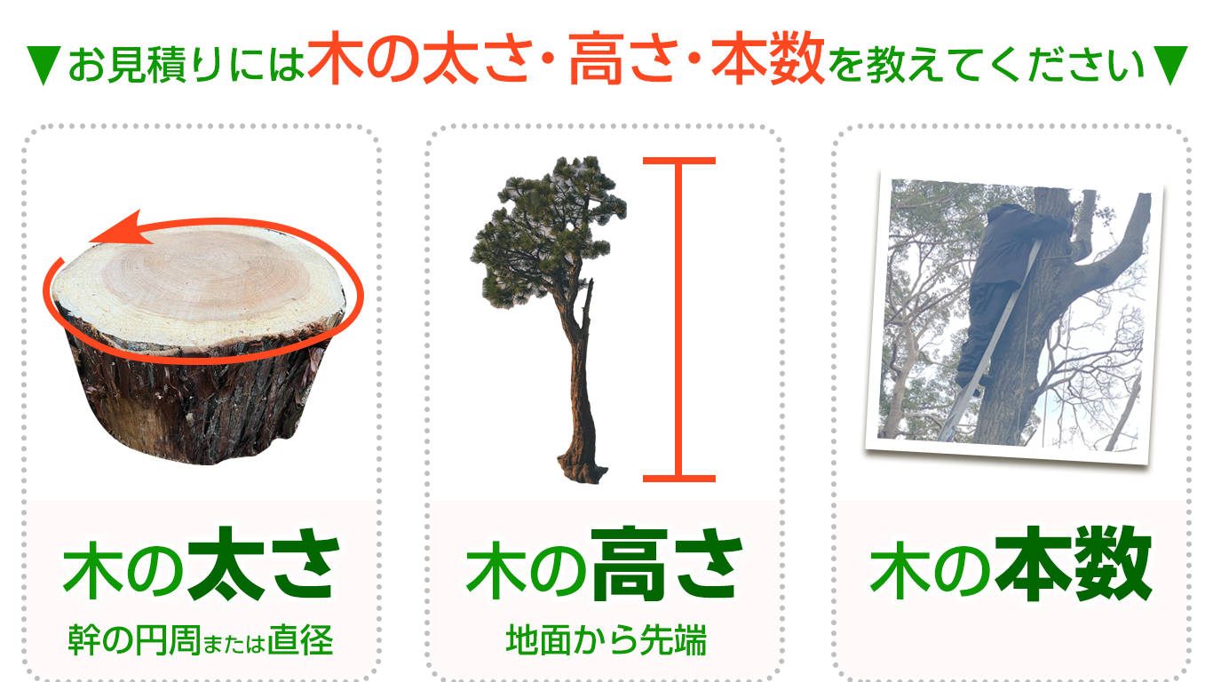 伐採のお見積もりについて